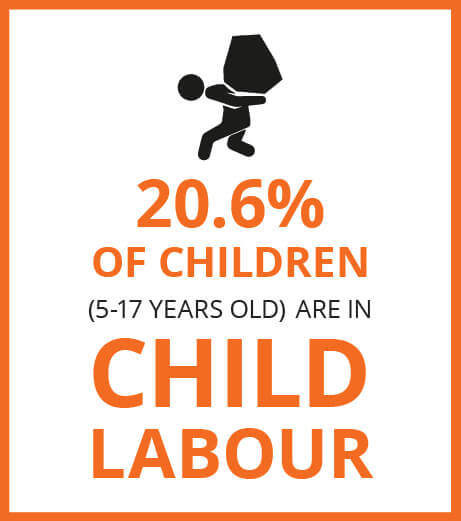infographic 2