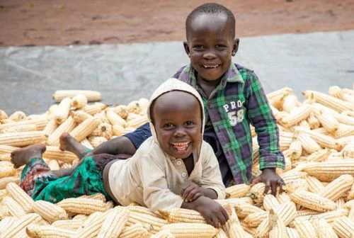 What Causes Global Hunger?
