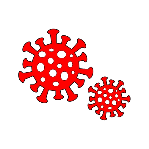 3. The COVID-19 pandemic
