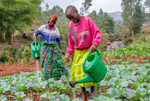 It powers livelihoods and economic growth