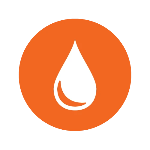 Water, Sanitation and Hygiene (WASH)