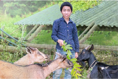 From Goats Come Hope