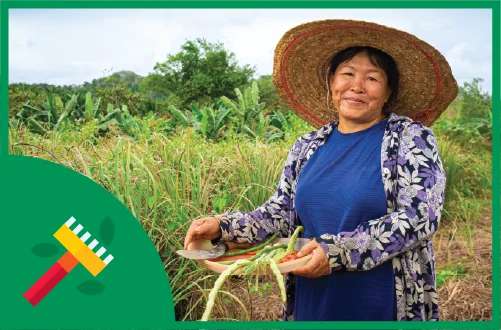 农民赋权工具包